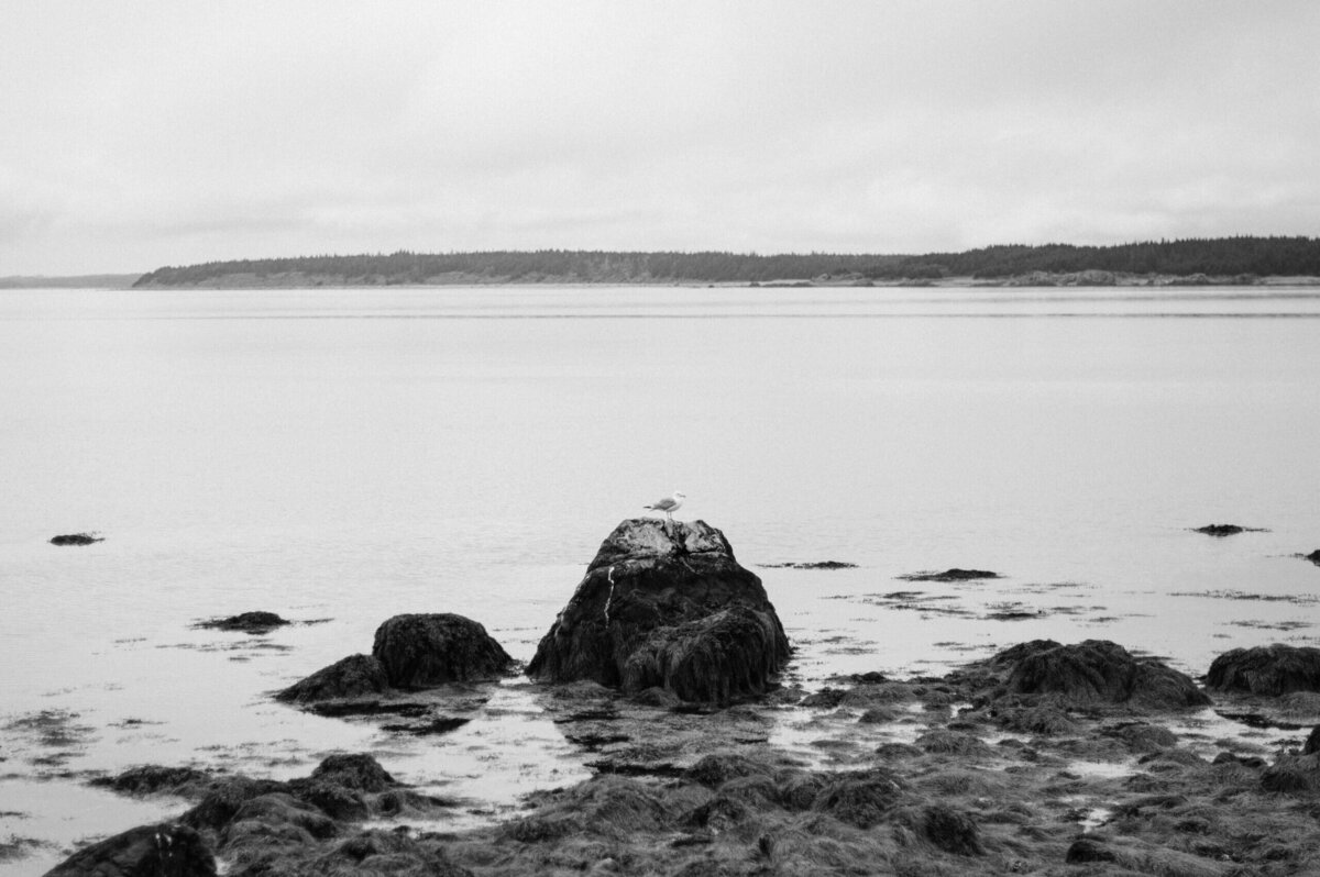 Nova-Scotia-wedding-photographer-56