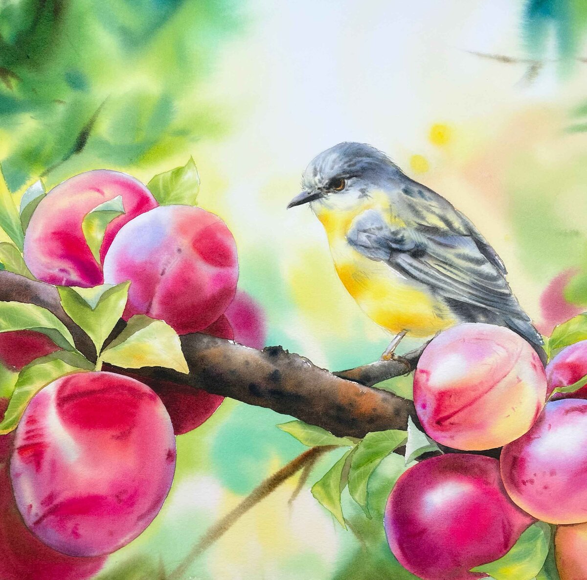 bird-watercolor-red-plums-tree