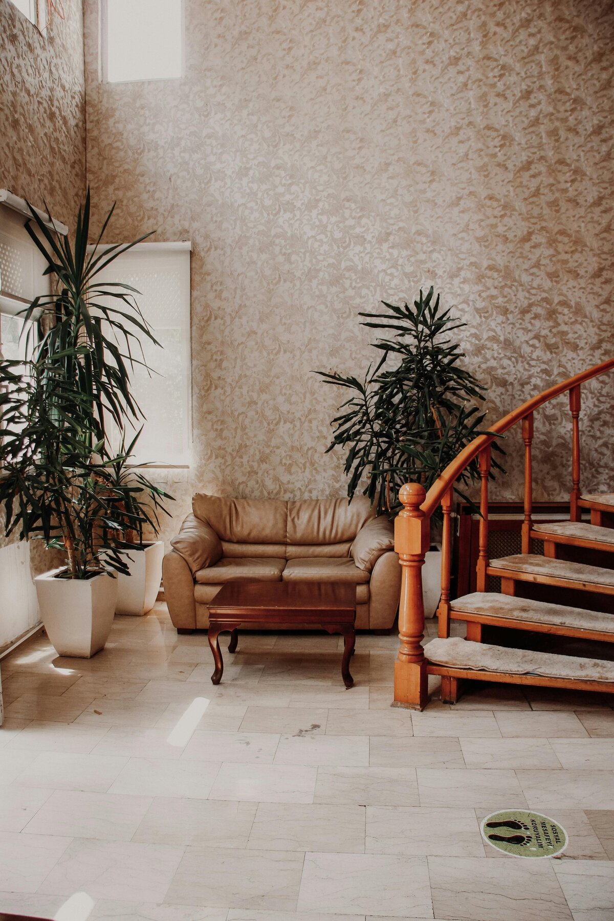 pexels-aysenur-tekinel-405359798-26076482