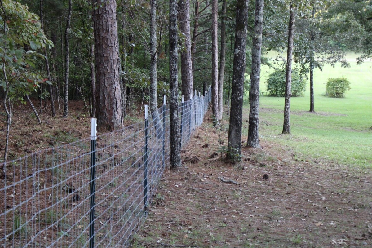 wire-fencing-along-treeline