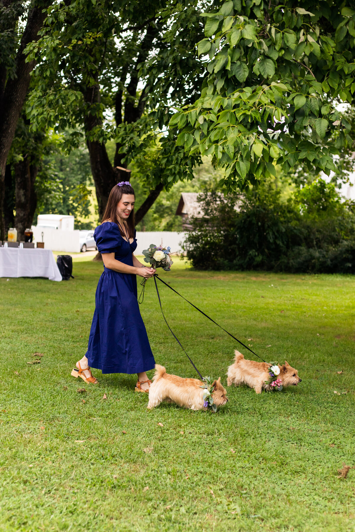 fairfax county wedding photographer in charlottesville va