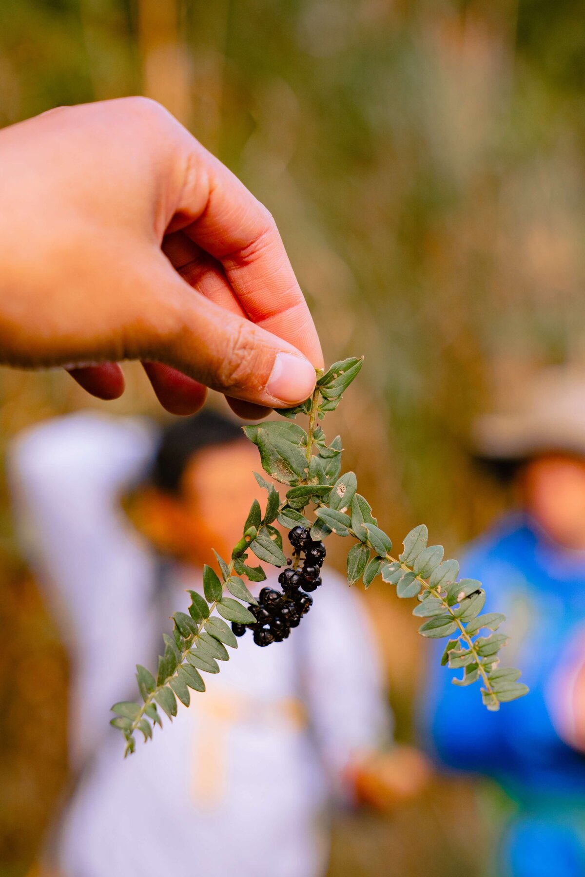 meredith-ewenson-salkantay-trek-peru-legit-trips-berries