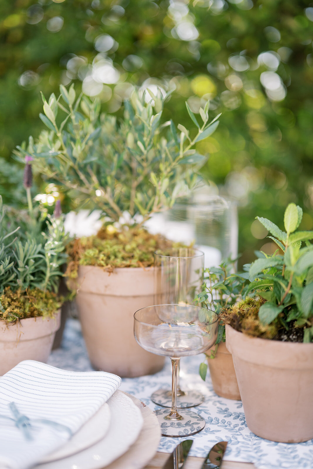 becker-wedding_moffitphoto356