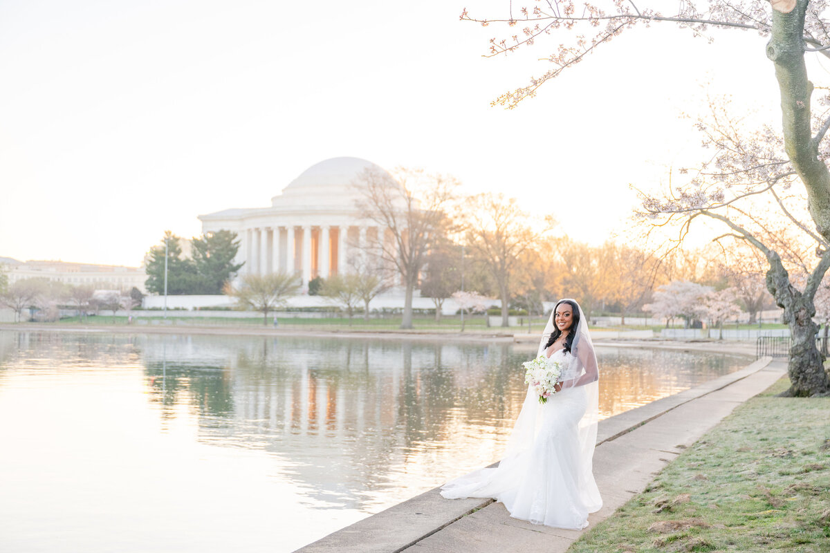 Deanna+Marcus_DC-cherry-blossom_JuliaSummersPhotography_227096