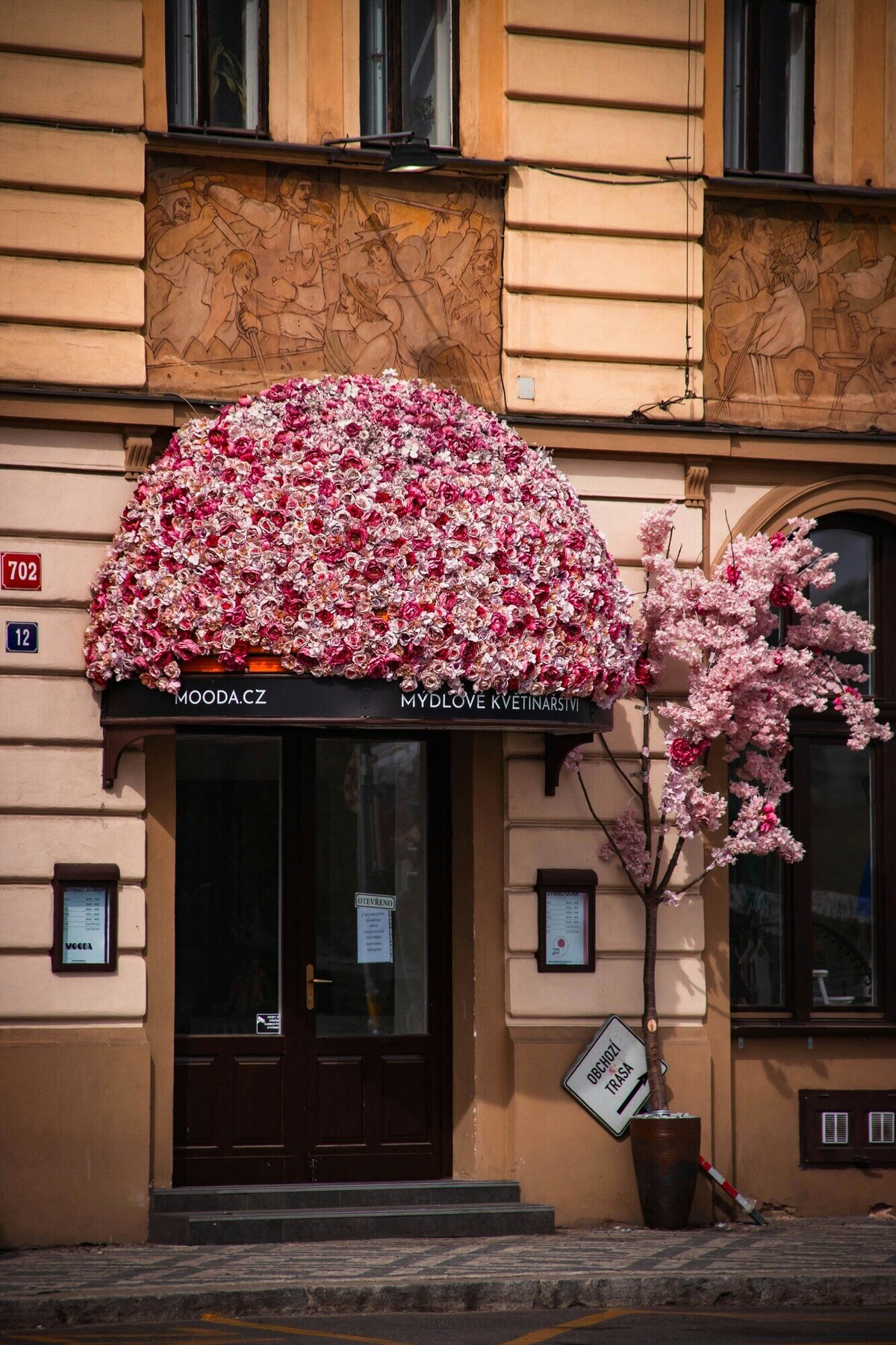 daniyar-orazov-d-6om1JKeAc-unsplash