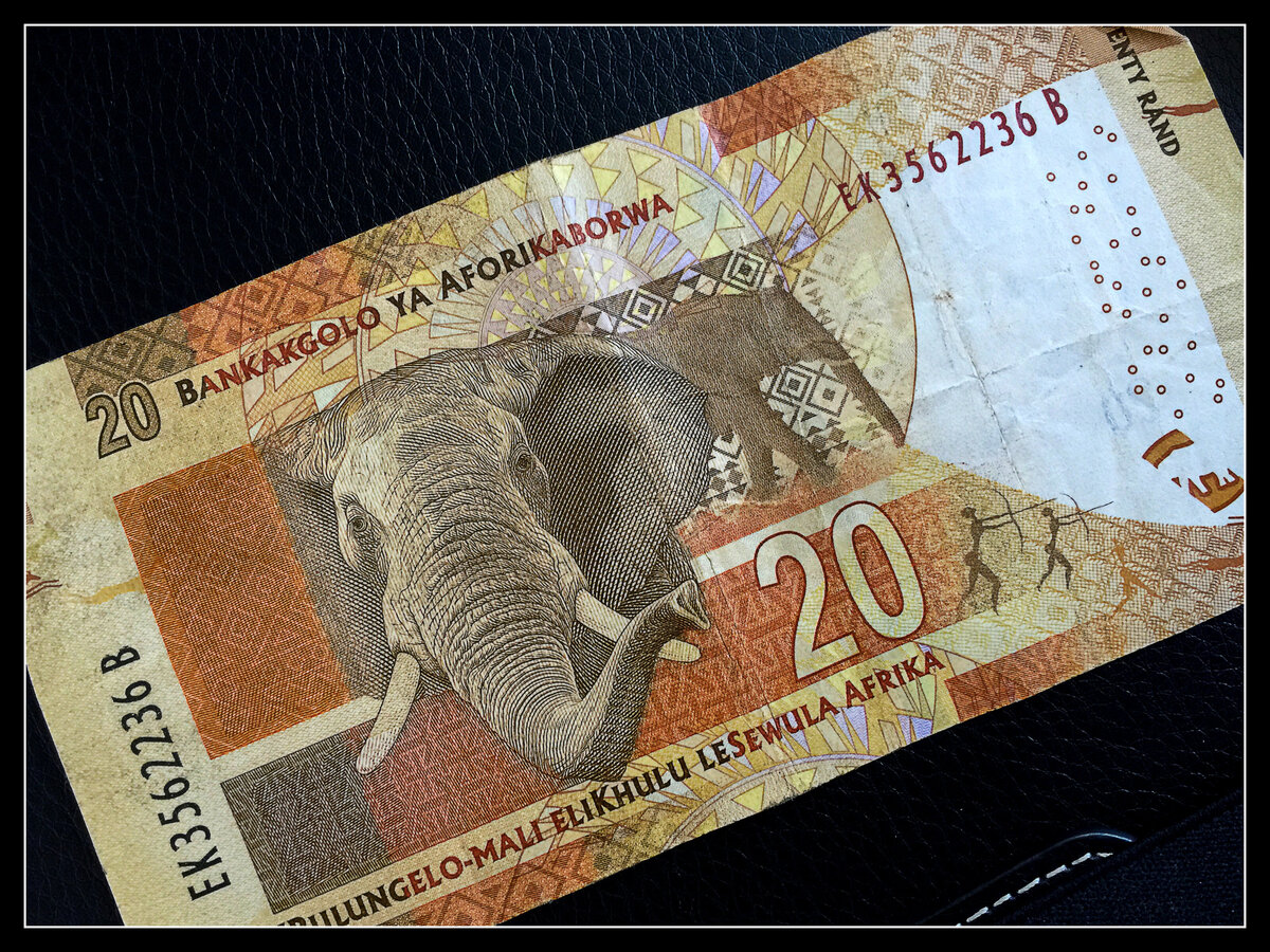 Africa money with Raven 6 Studios