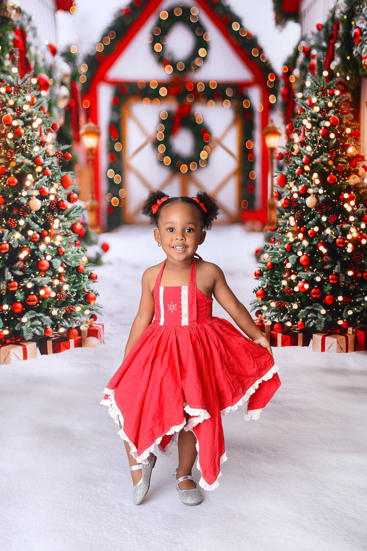 houstonchristmasminis (3)
