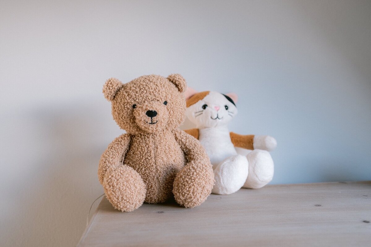 Fotoshoot-Newborn-Leiden