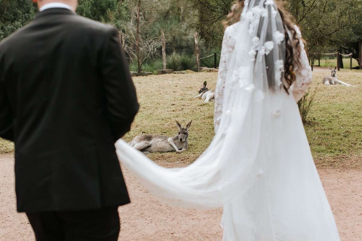 Elope-micro-wedding-elopement-yarra-valley-Healesville-Sanctuary23