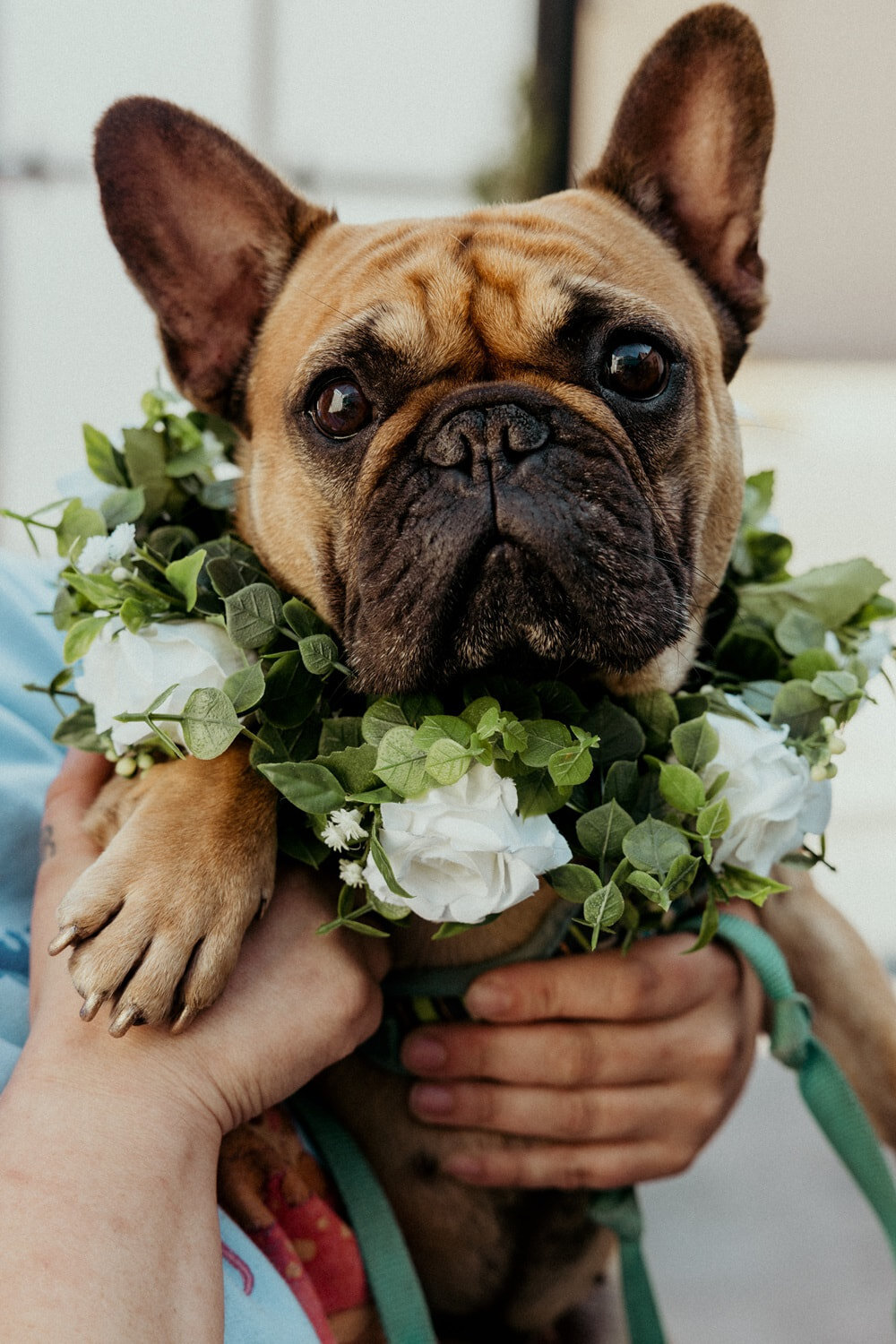 michaeldanielwedding-1051_orig