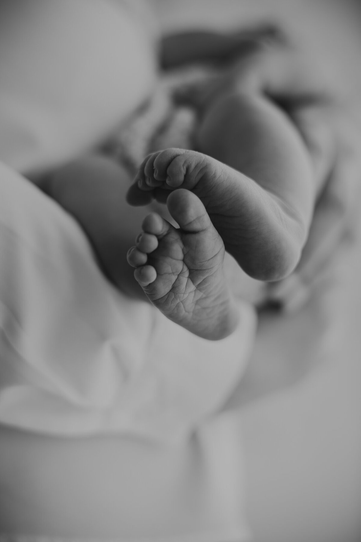 Frombumptobaby-newborn-baby-15