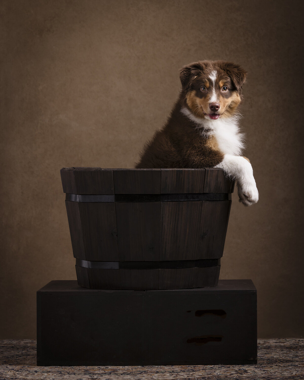 ShalimarStudios_5P2A4584TT