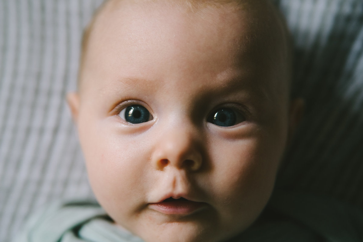 Maple 3 Months-15