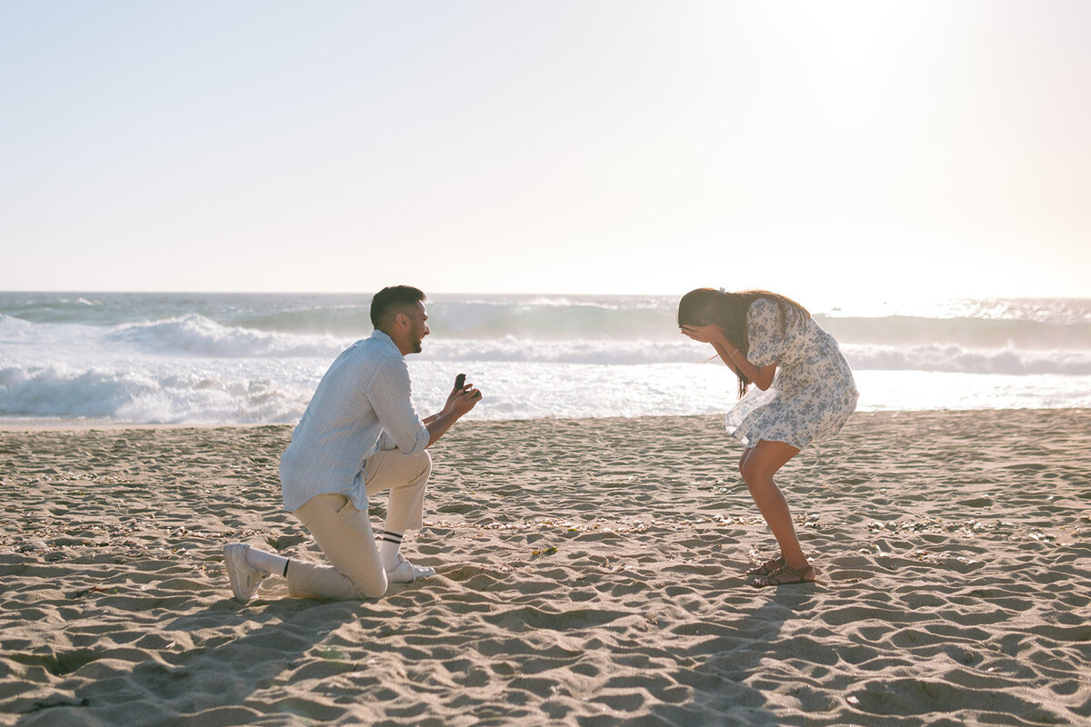 Big Sur Proposal D+D-3_websize