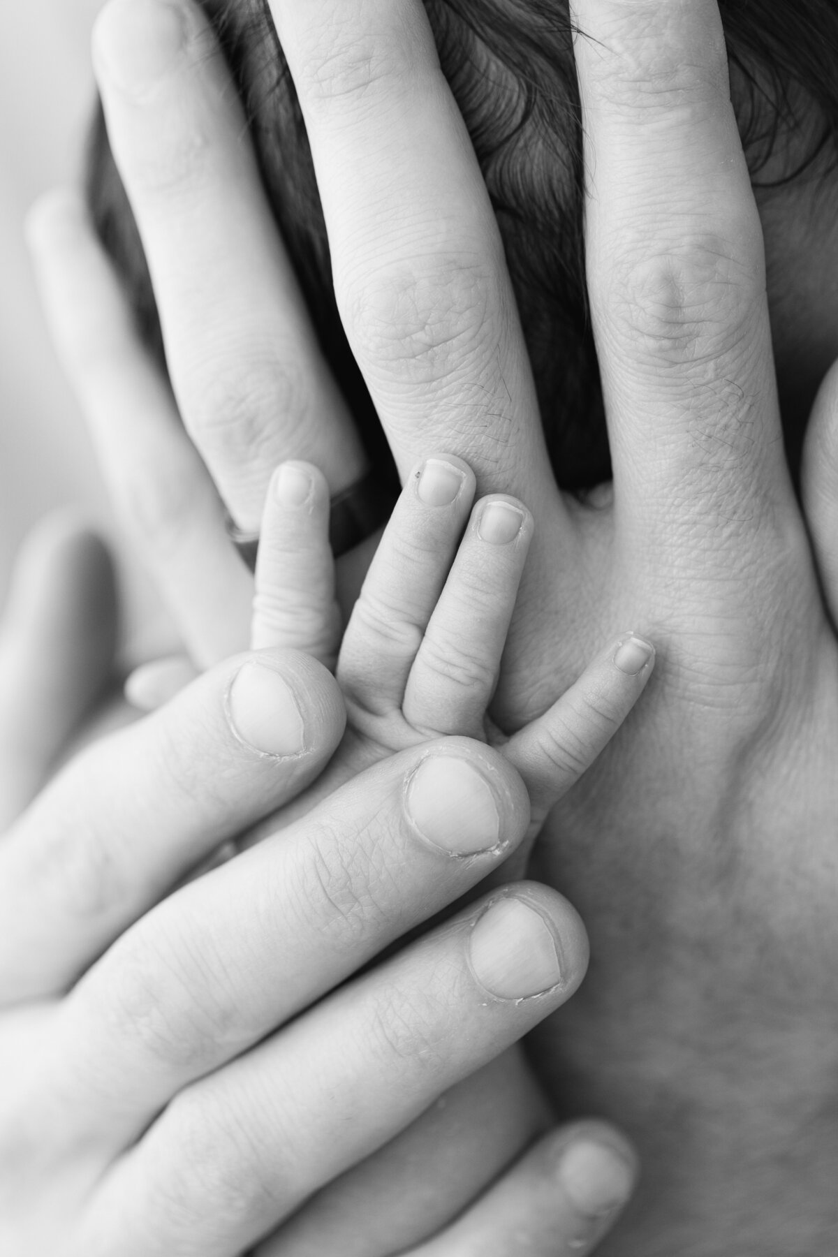 Philadelphia newborn portraits - 18