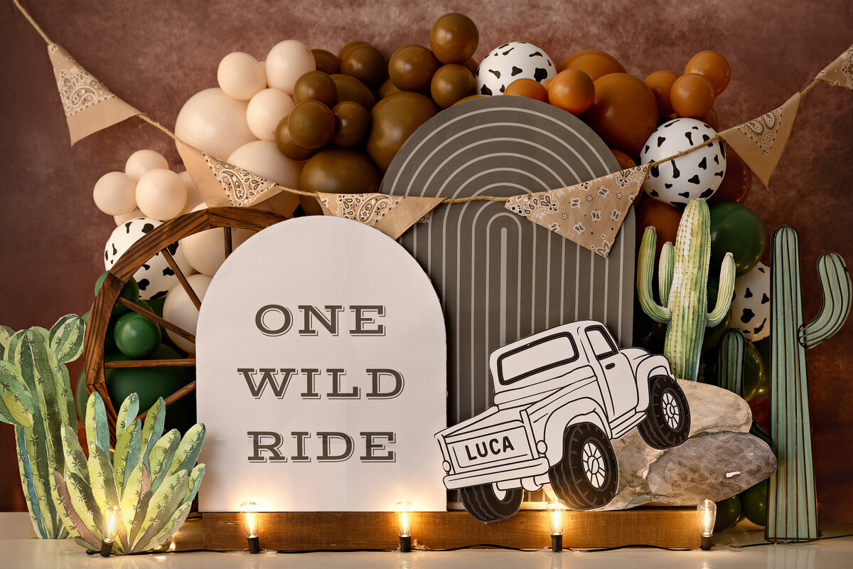 One Wild Ride
