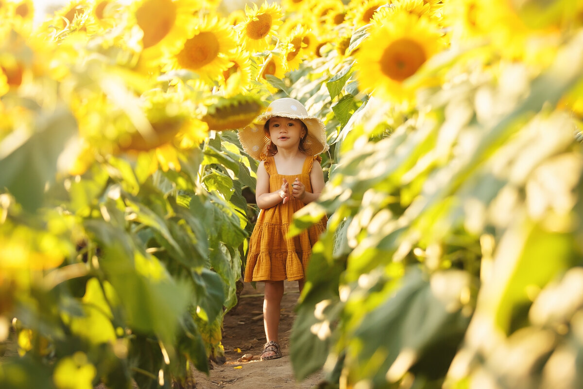 MiniSession-Sunflower-Family-Photographer-Photography-Vaughan-Maple-143