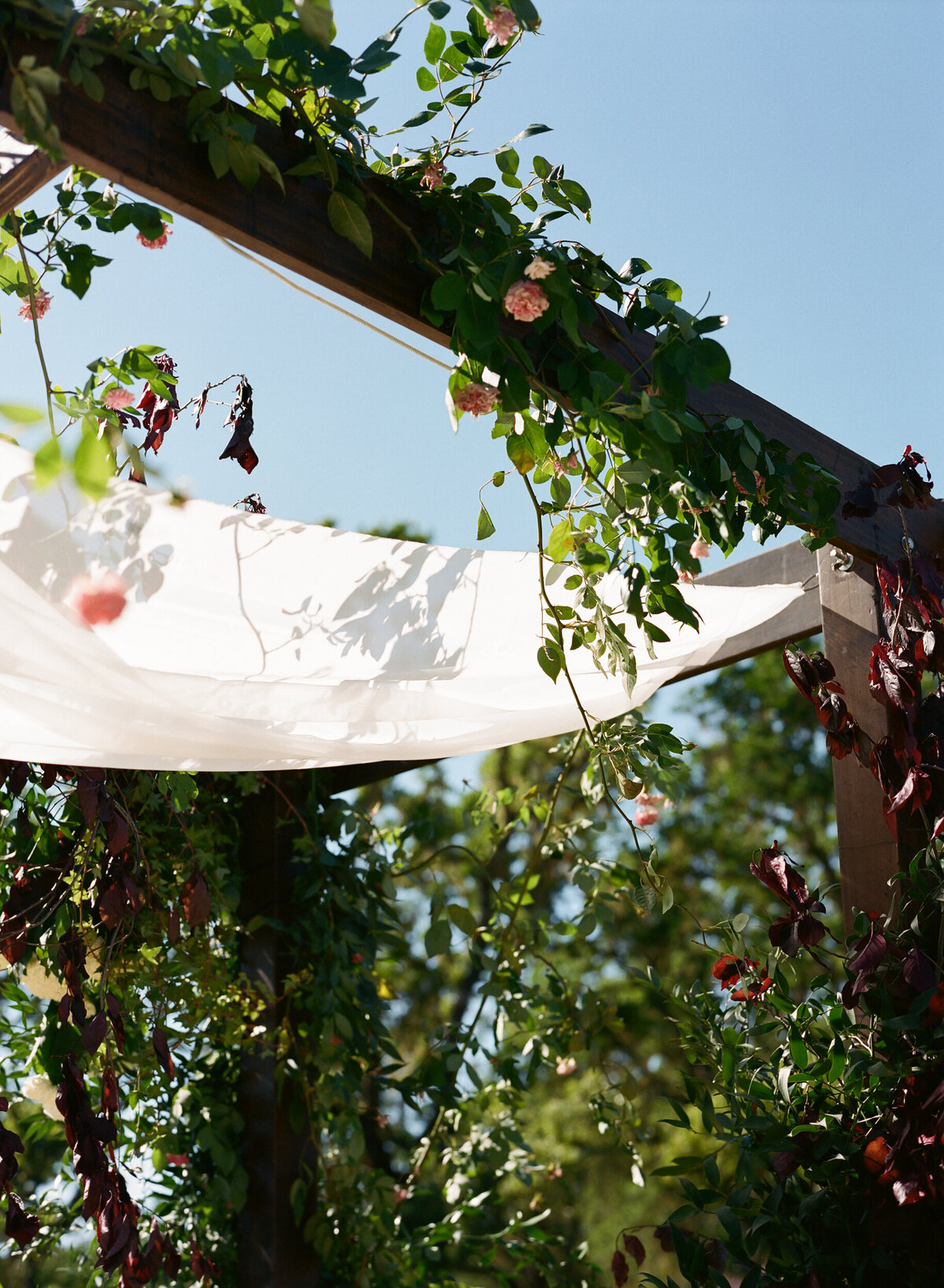 DT-2025-Abby&JordanWedding-260