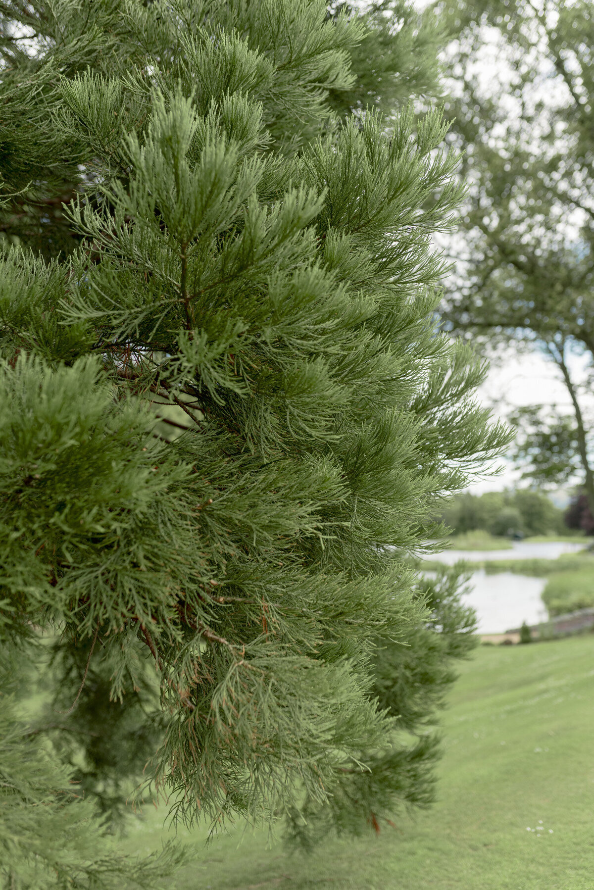 The grounds of Gleneagles Hotel.  Image by luxury fine art wedding photographer, Jill Cherry Porter.