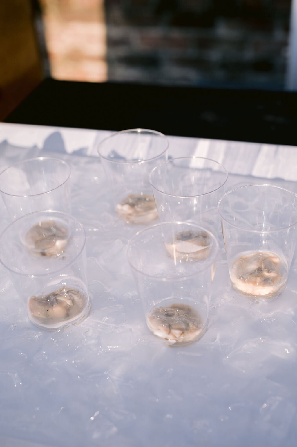 Haley-and-Michael-0129