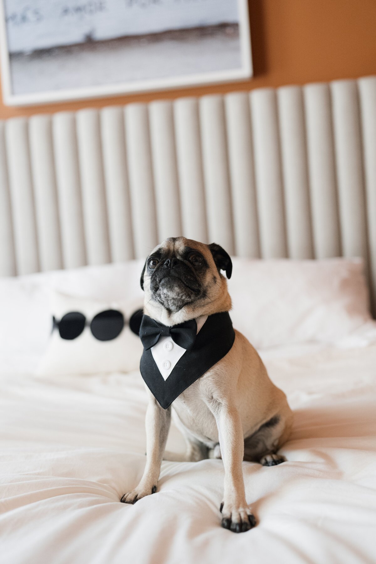 Toronto Wedding Photographer 15