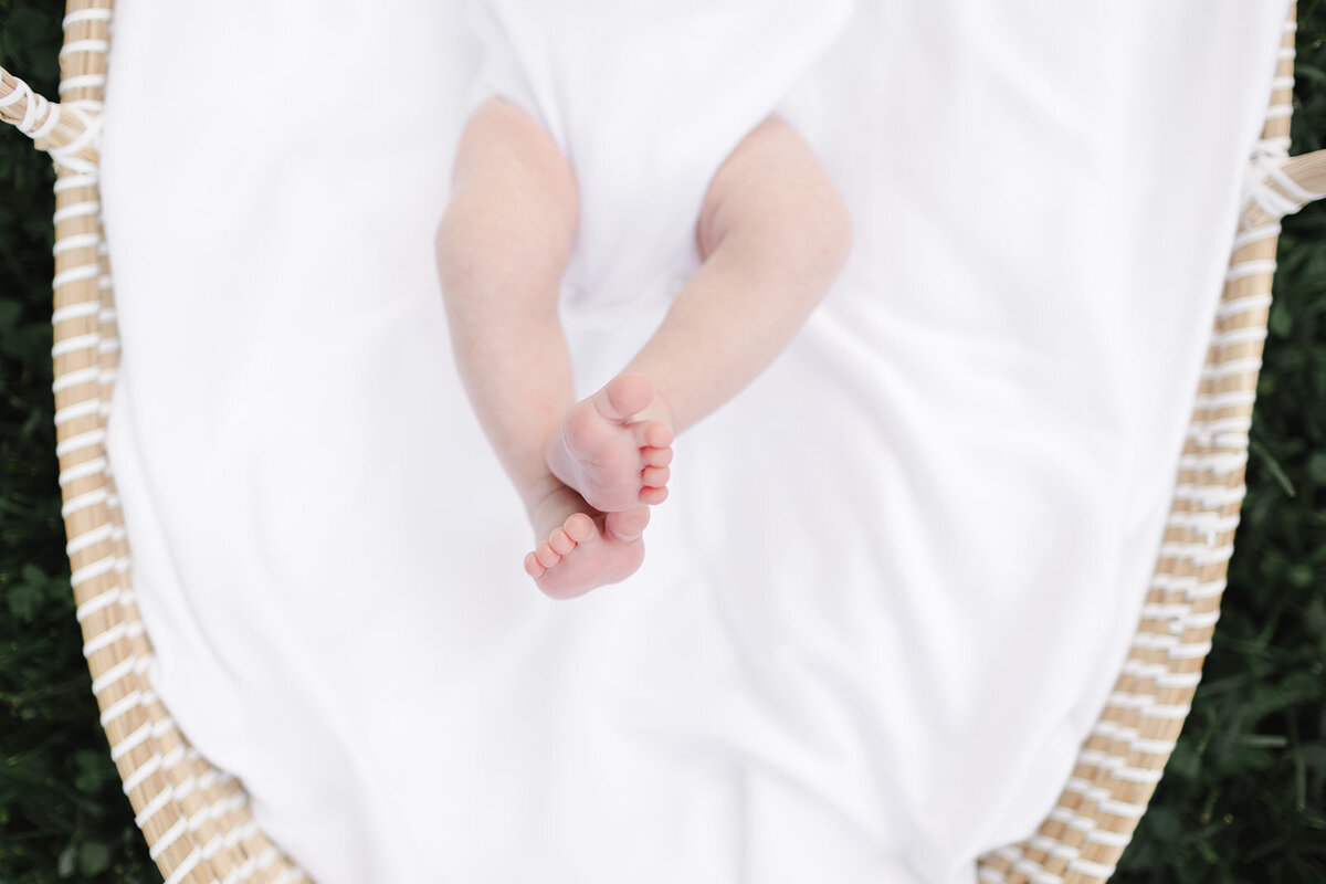 Baby Bentley_497_websize
