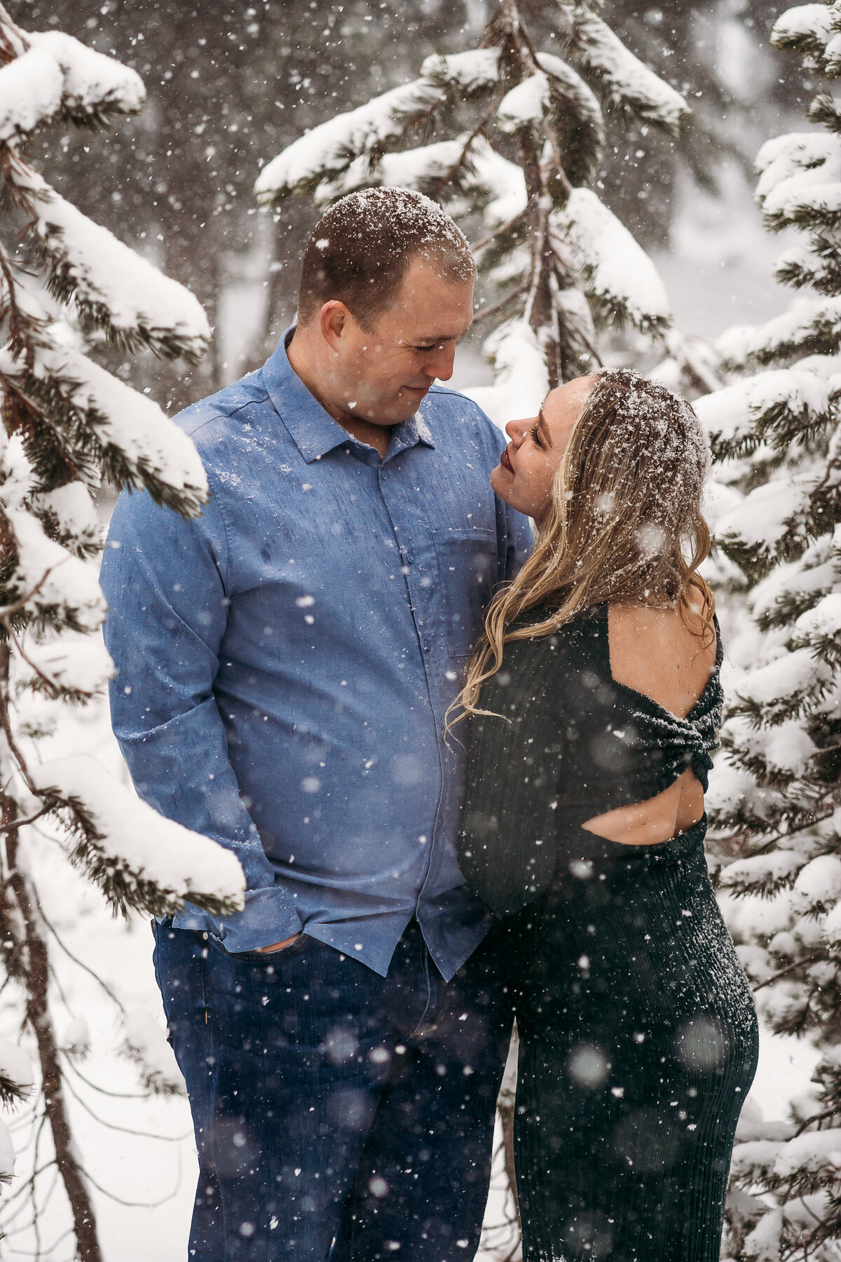 AlpenglowPhotoCo-53