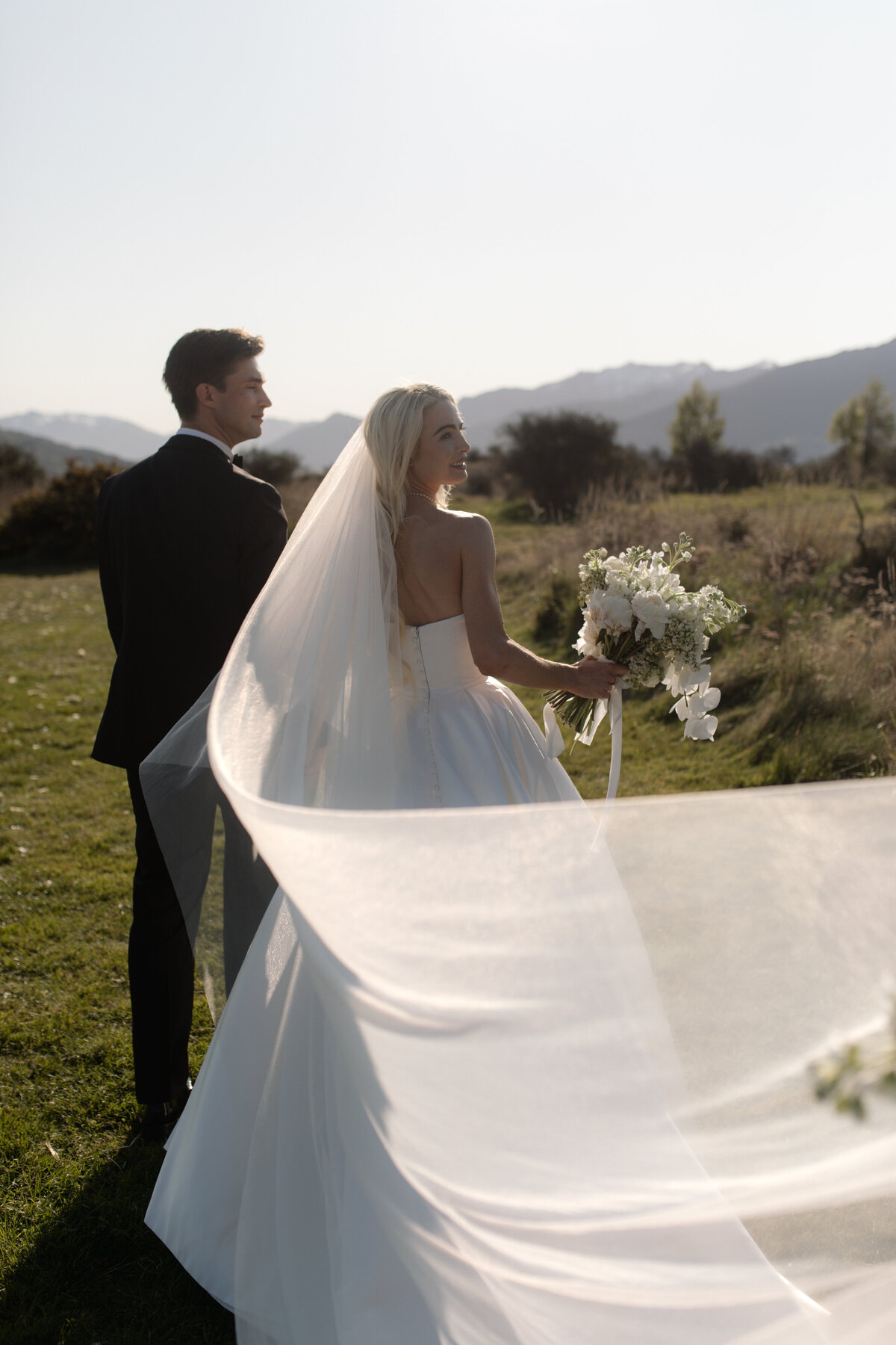 brideandgroom-bigveil
