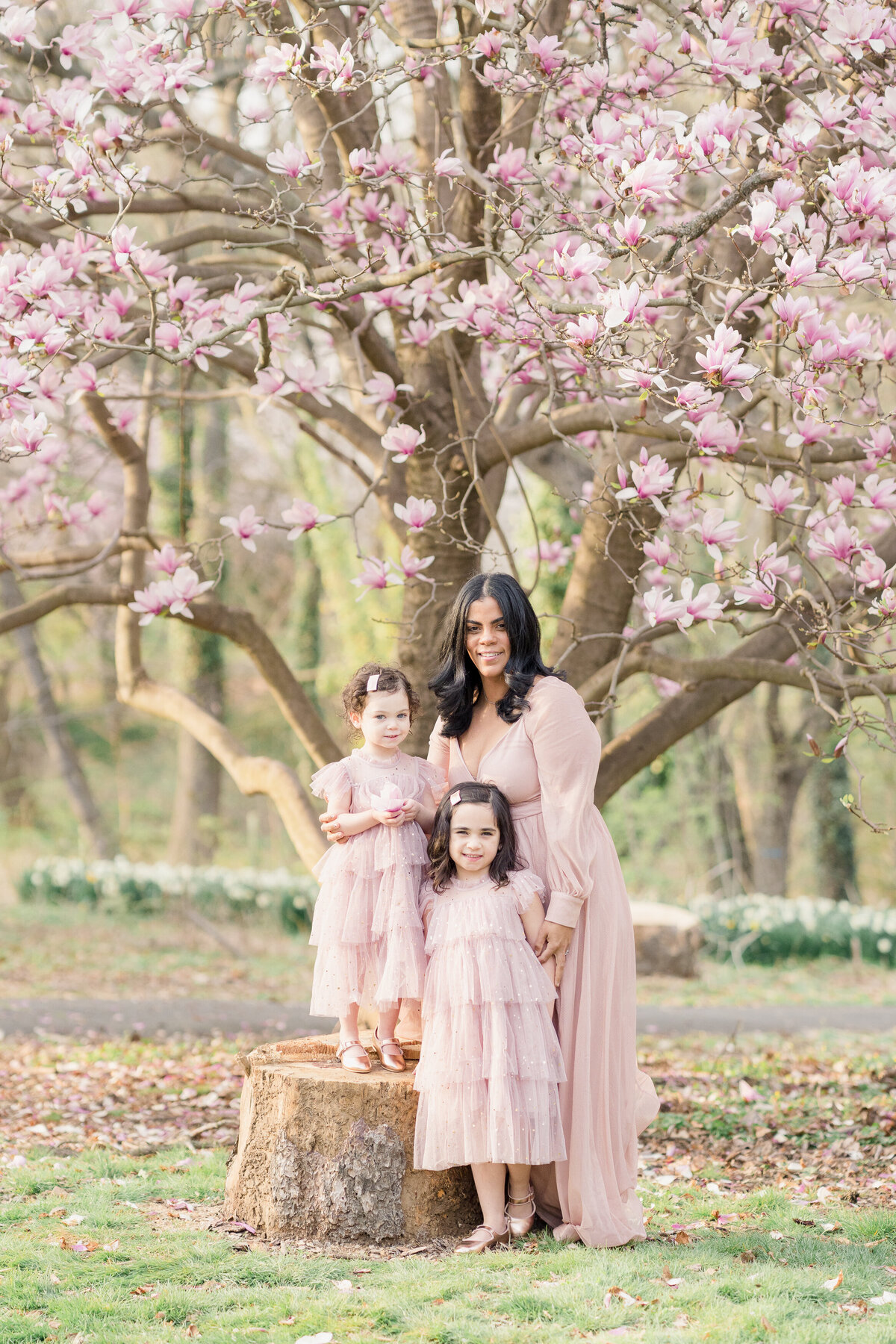 Courtney-Landrum-Photography-Motherhood-Cherry-Blossoms-1