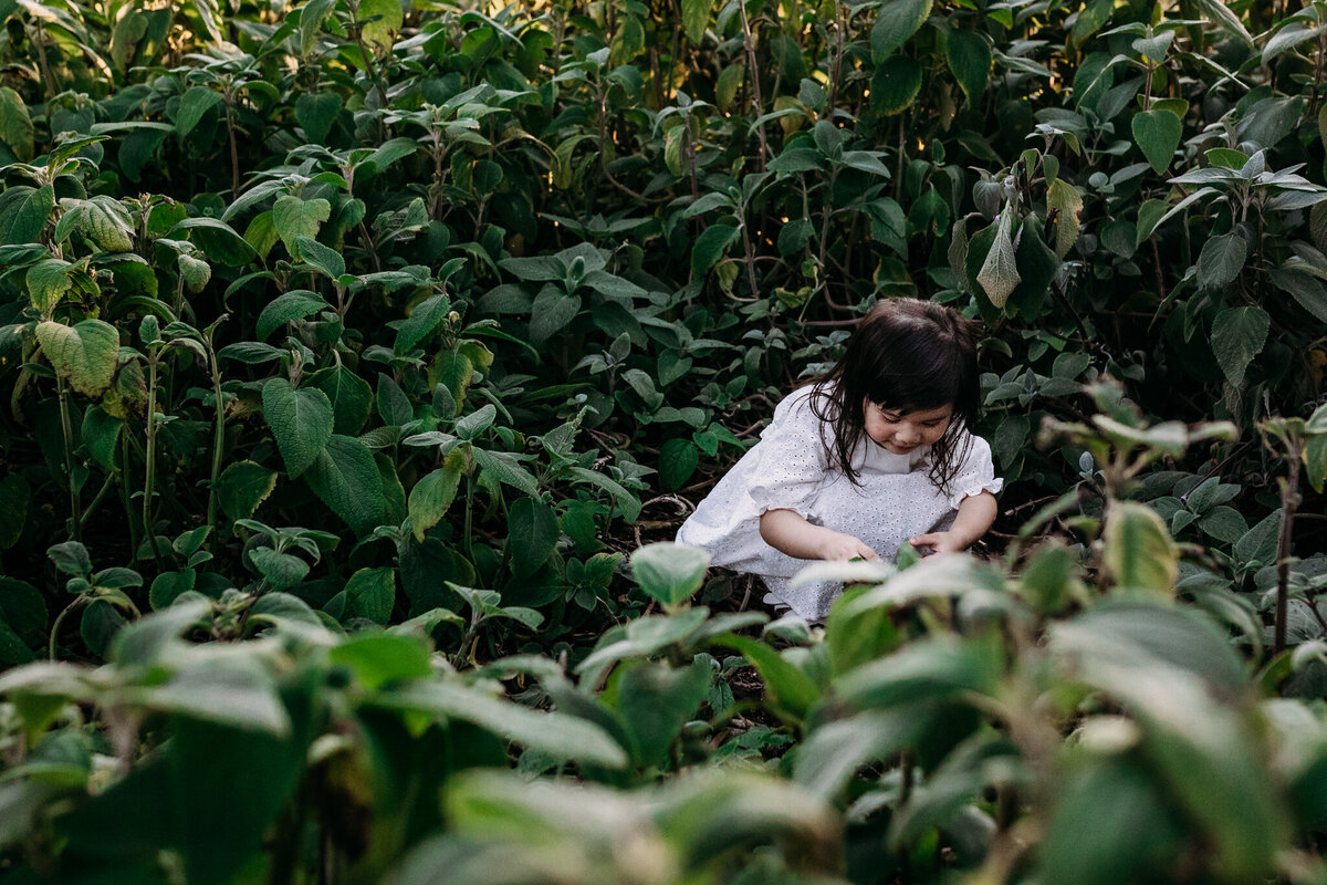 Outdoor-Family-Photography-Megan-Browne-Photography-Melbourne-Family-Photographer (65)