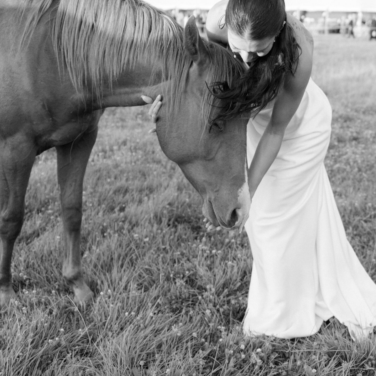 Diamond Cross Ranch Wedding Photos-94