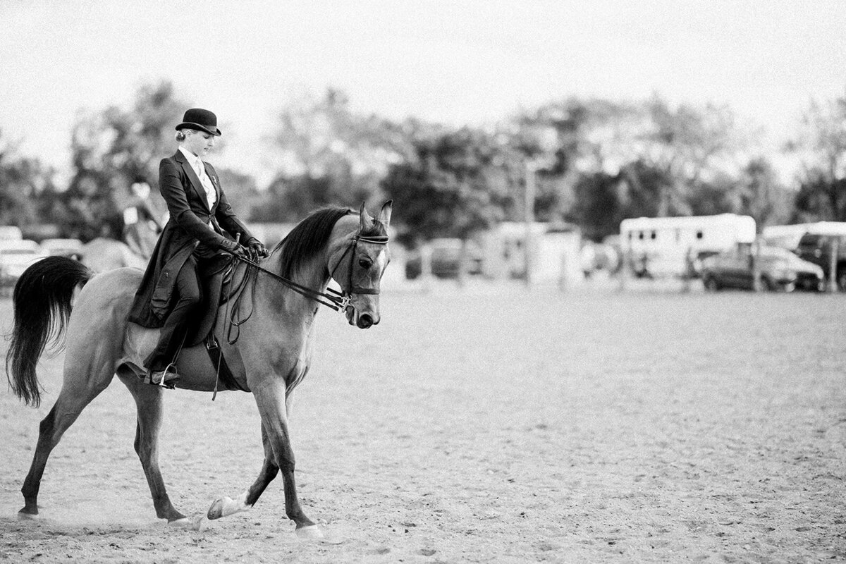 Equestrian Photography512