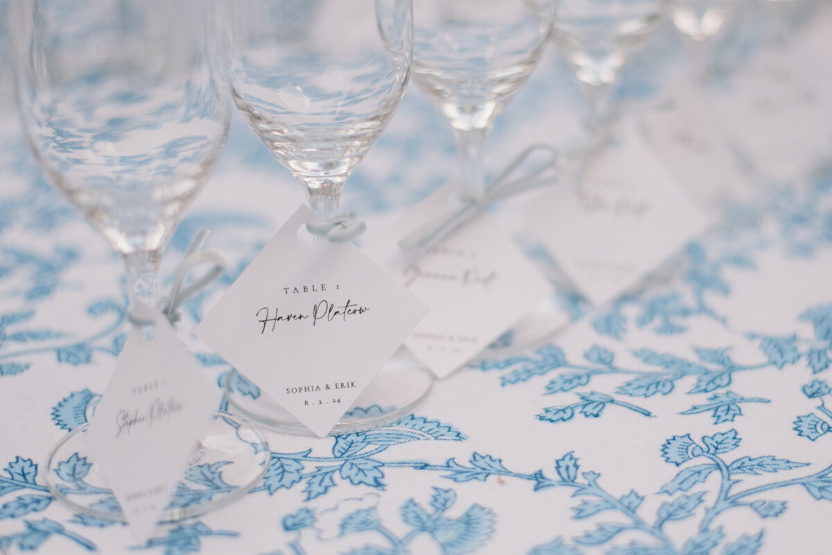 SophiaErikWedding-749