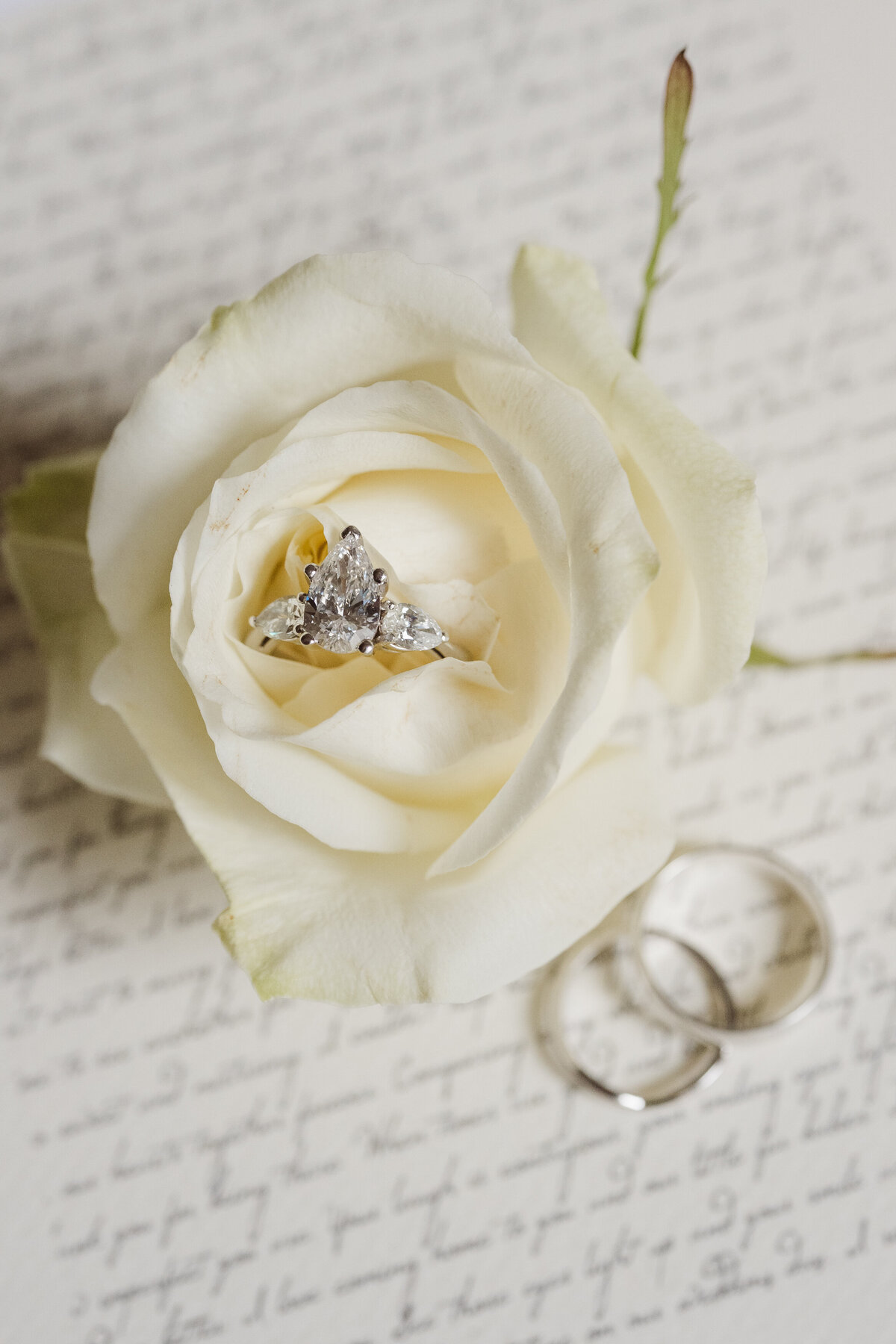 madison-hotel-nj-conservatory-wedding-by-Suess-Moments-NJ-photographer-20251012-13-46-47-7926