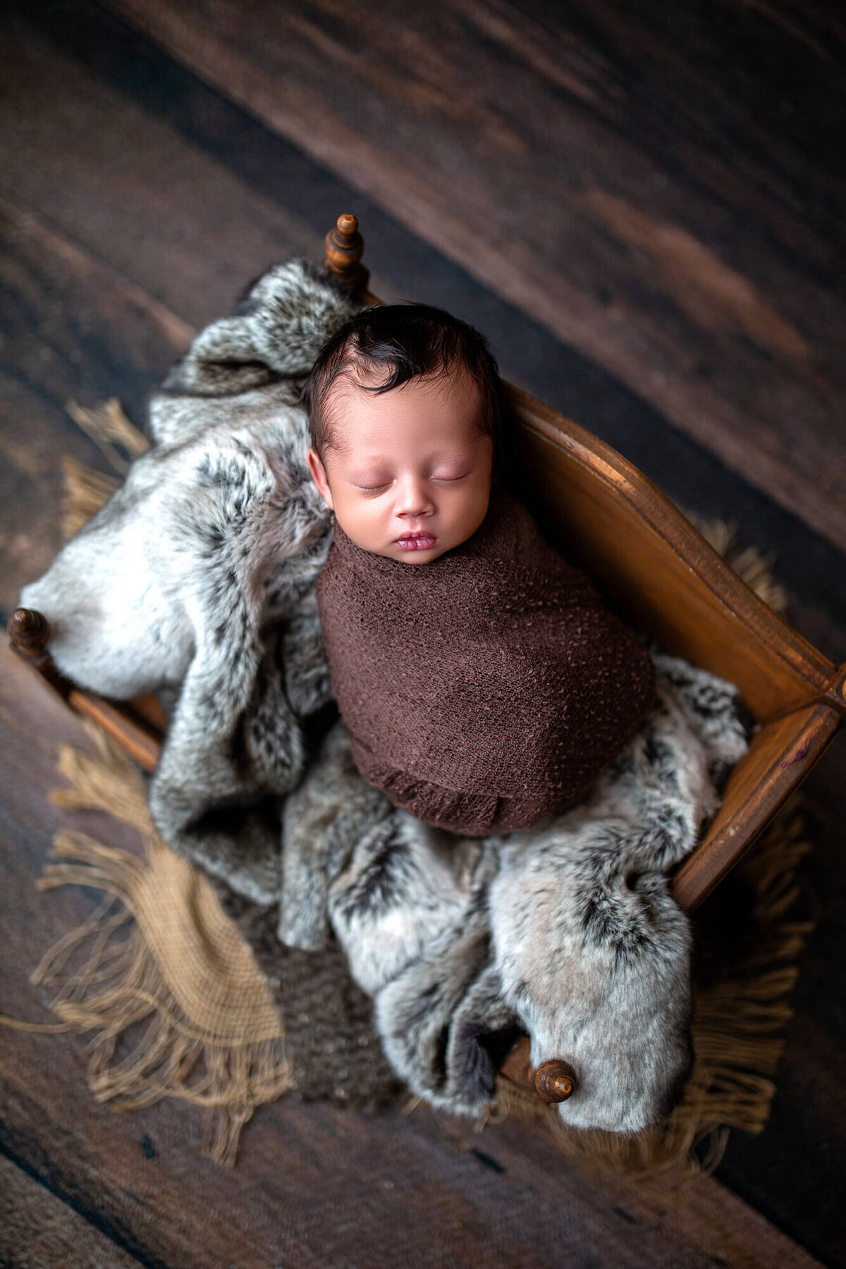 Dark haired newborn boy wrapped in chocolate brown laying in daybed with neutral fur fabrics 