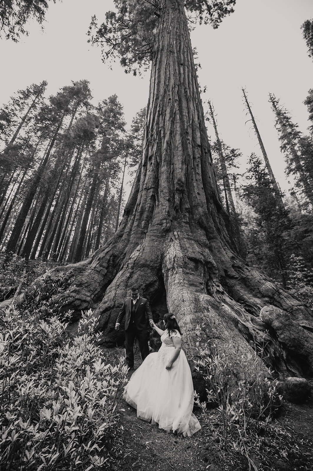 yosemite-elopement-photographer-161