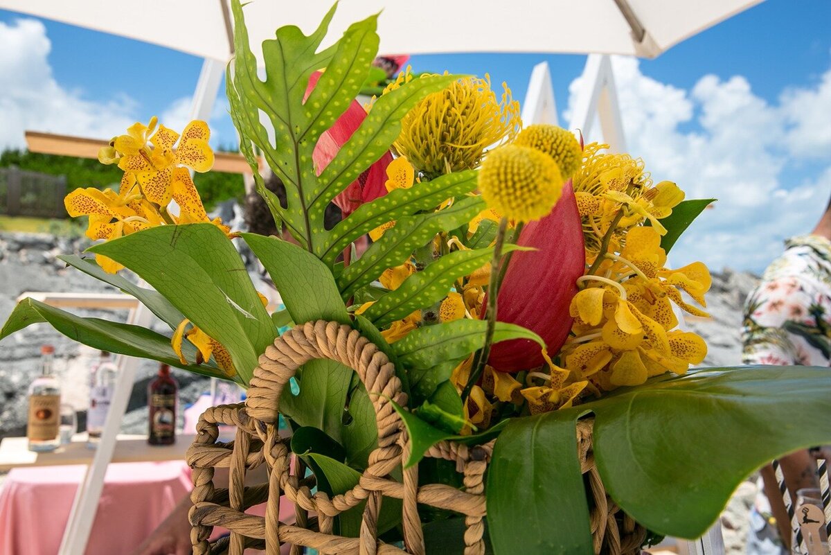 Reolve-Beach-Day-Bermuda-Dasfete-38