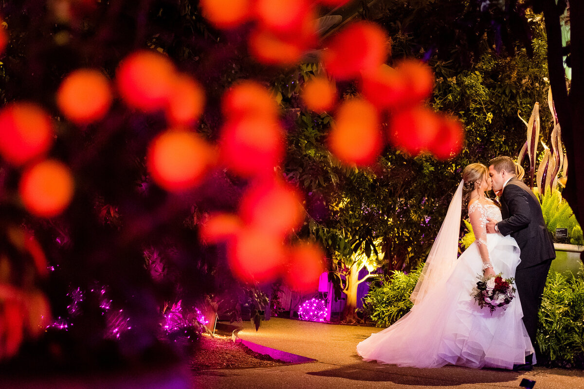 phipps conservatory night time wedding picture