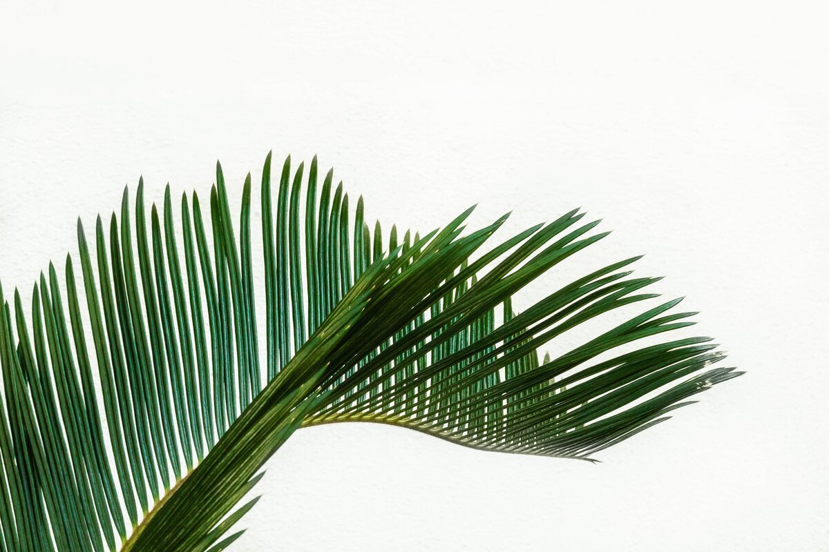 pawel-czerwinski-E2tGOeS4Ijc-unsplash
