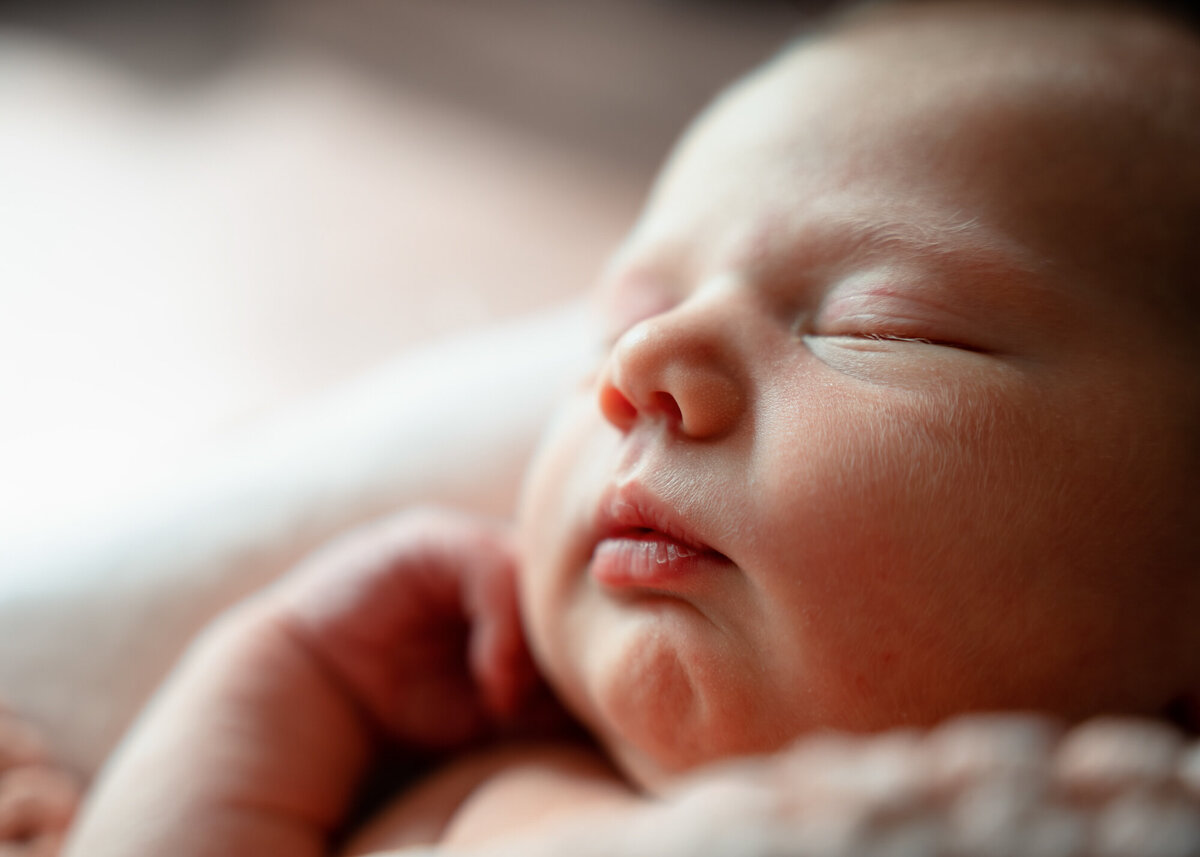 Birth Story Studio Minneapolis St. Paul Maple Grove Twin Cities Minnesota Newborn Maternity Birth Family Photography Photographer Stephanie Lecker - WEB-4