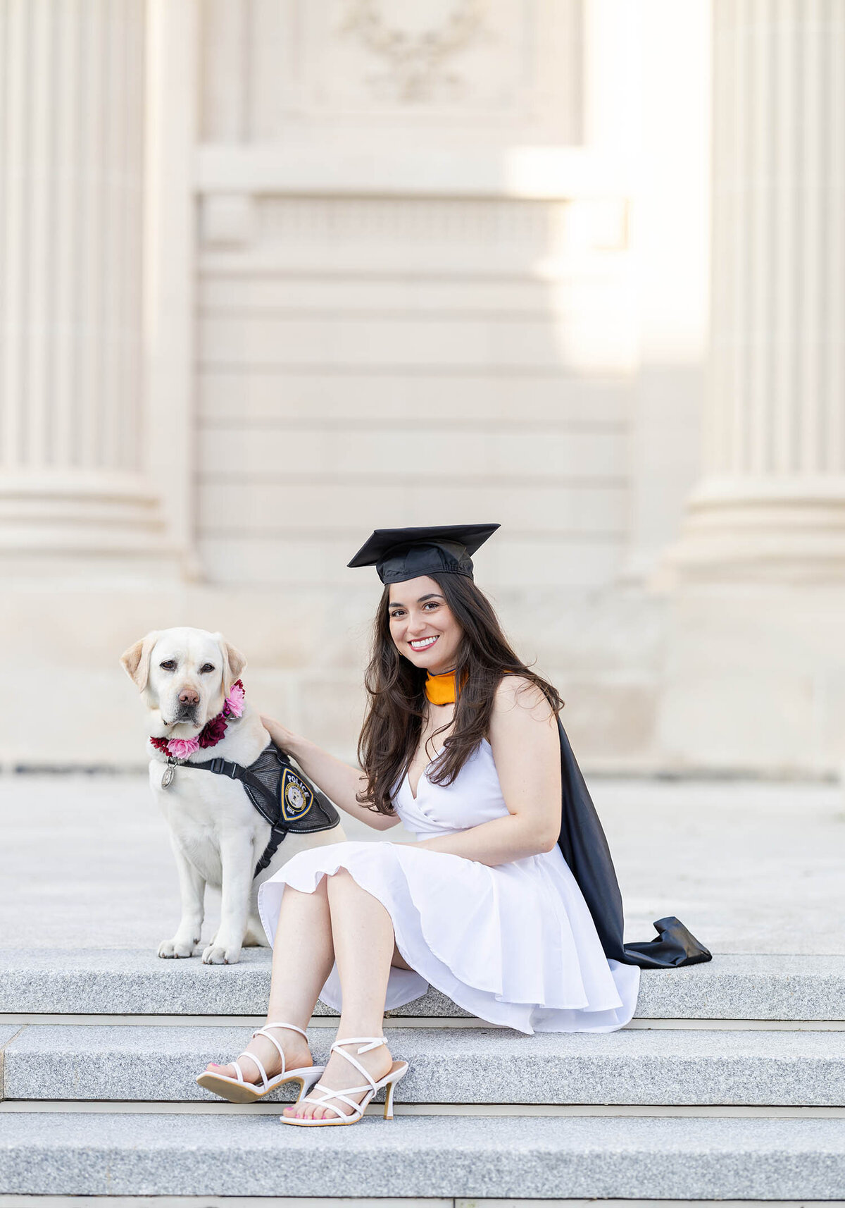 Graduate girl wearing a white dress and cap and gown sits on the steps with the college campus security dog during her graduate photo session in Connecticut at Yale University 