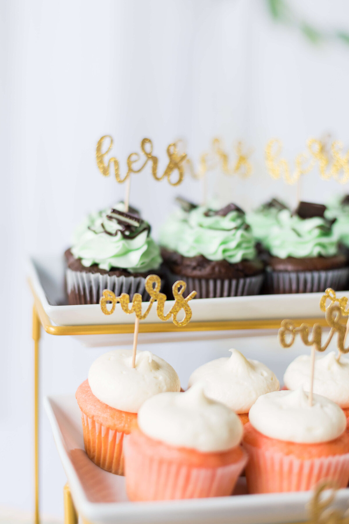 Cupcakes with white and green frosting for at wedding at Mahr Park Arboretum, Tennessee
