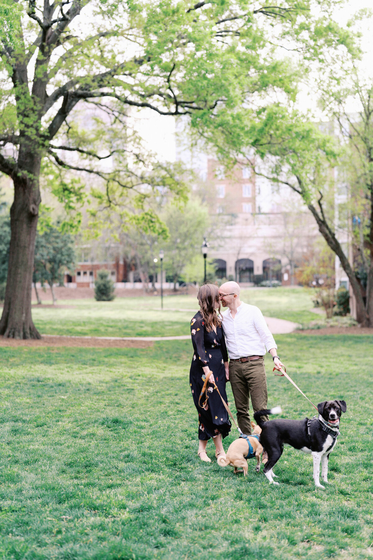 A relaxed engagement session with a couple and their two pet dogs, walking around Uptown Charlotte and 4th Ward Park, capturing a chill, candid city vibe by North Carolina wedding photographer Jessica Leigh Mason.