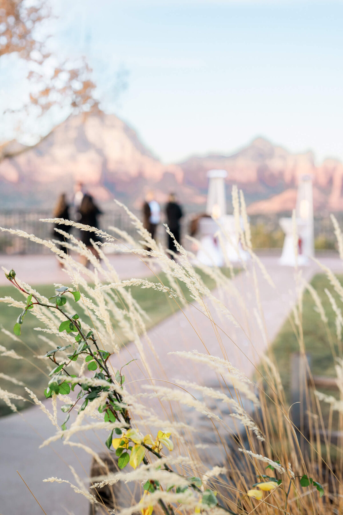 biltmore-wedding-Joy-and-Ben-Photography-594