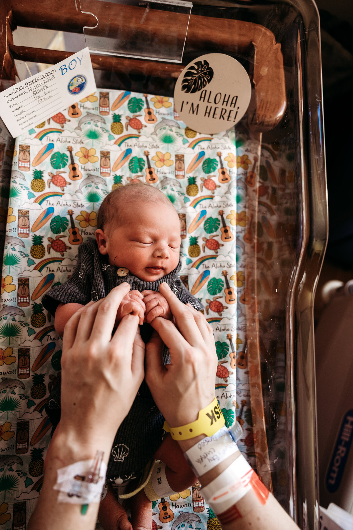 FRESH48-NEWBORN-PHOTOGRAPHER-OAHU