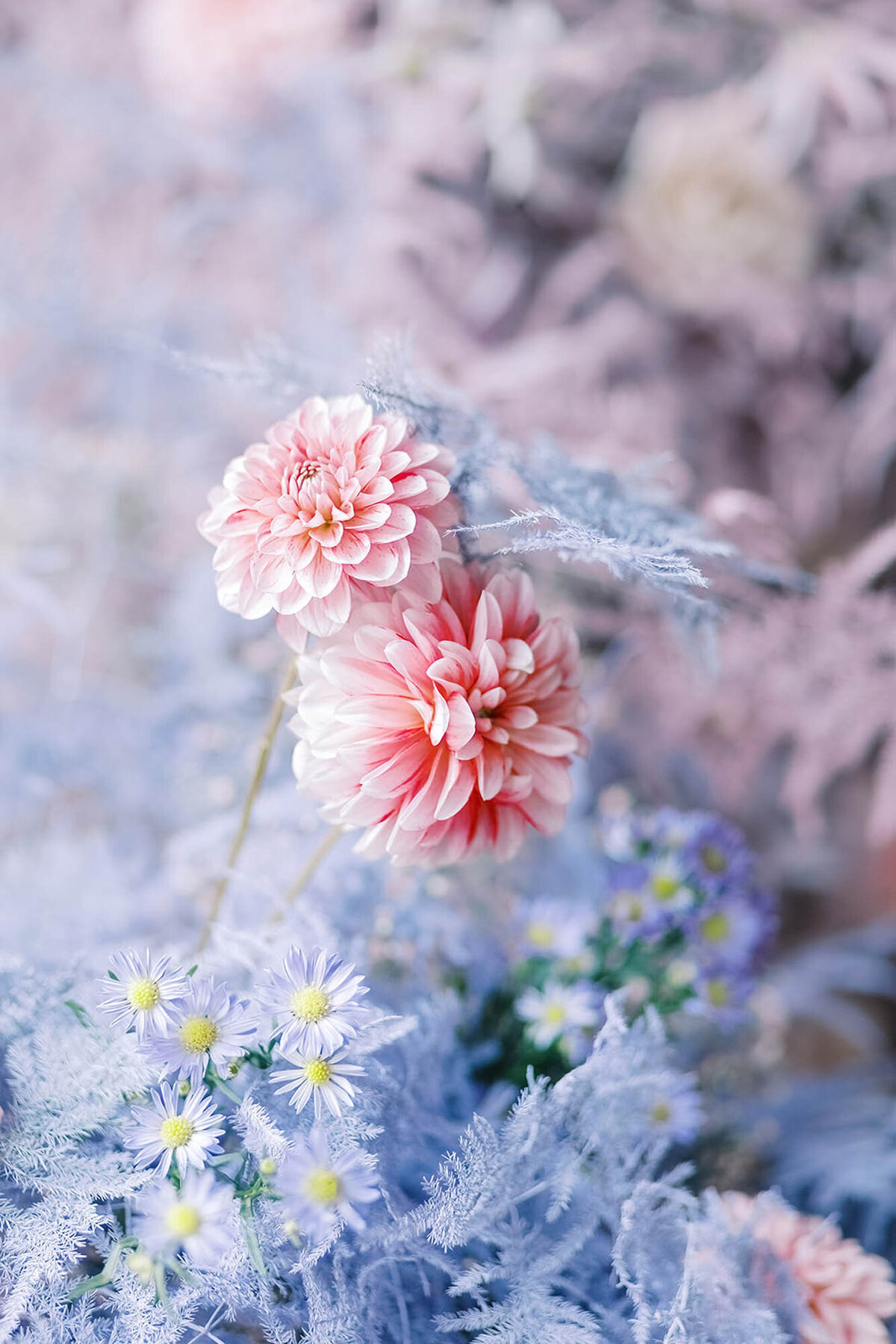 CapucineAtelierFloral-création-arche-florale_17