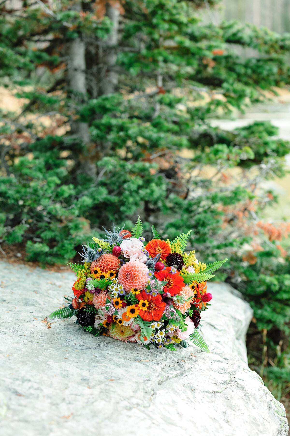 wedding-rings-elopement-detail-shot-nature