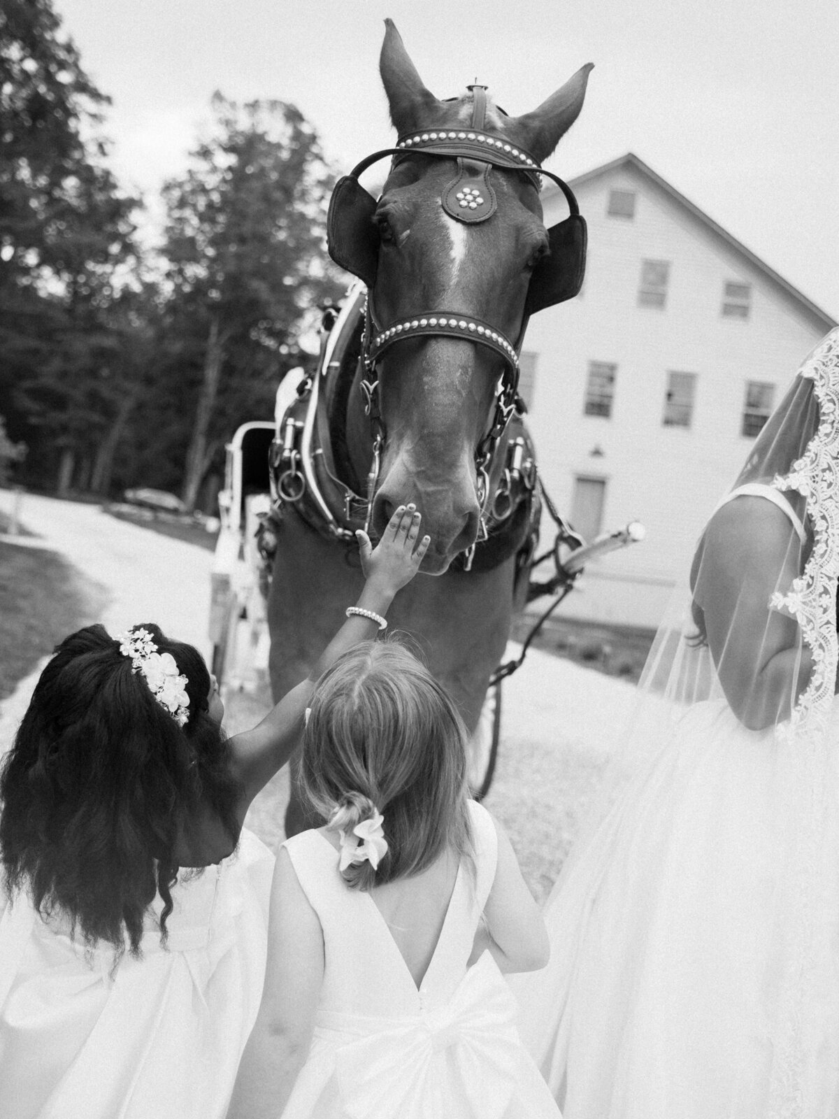 Jenny Losee Photography (107 of 346)