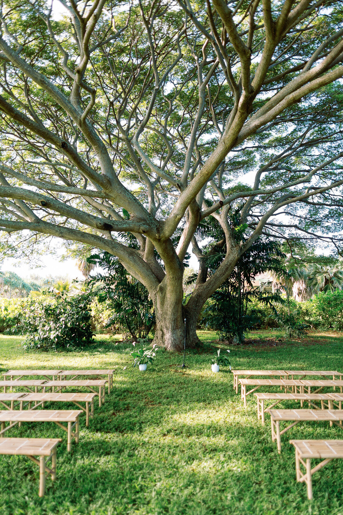 Top-Kauai-Wedding-Photographer-31