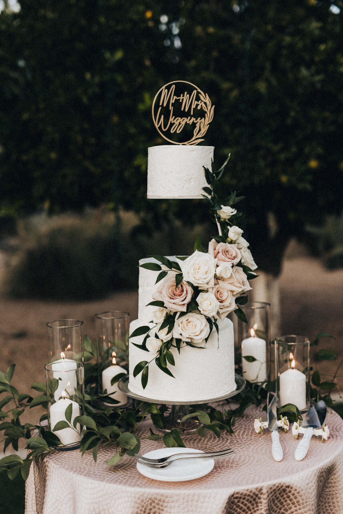 phoenix-wedding-photography-cake